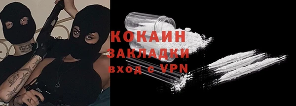 прущие грибы Покров