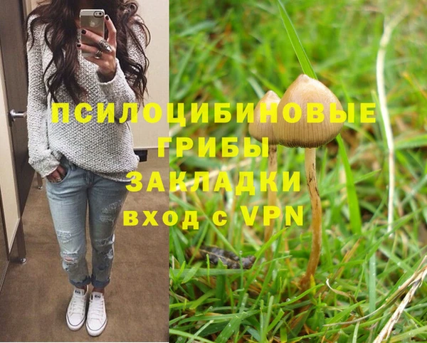прущие грибы Покров