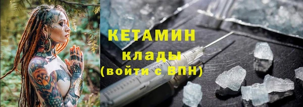 прущие грибы Покров