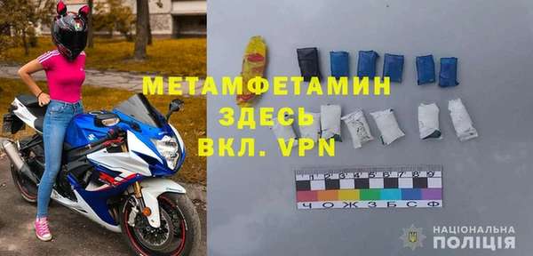 прущие грибы Покров