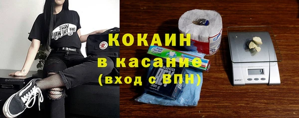 прущие грибы Покров