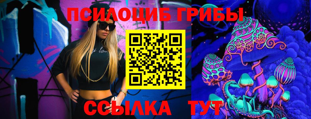 Псилоцибиновые грибы Psilocybine cubensis Азов